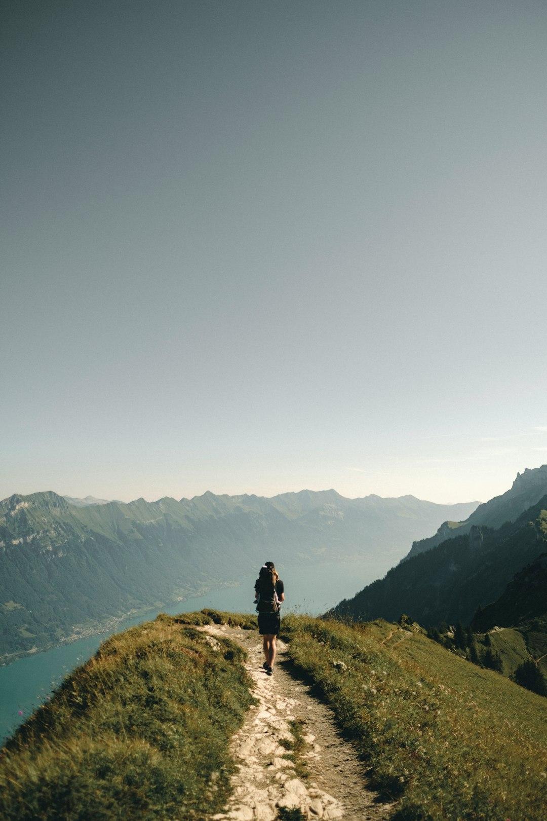 Wander and Drift: Roots Beneath Each Footstep 