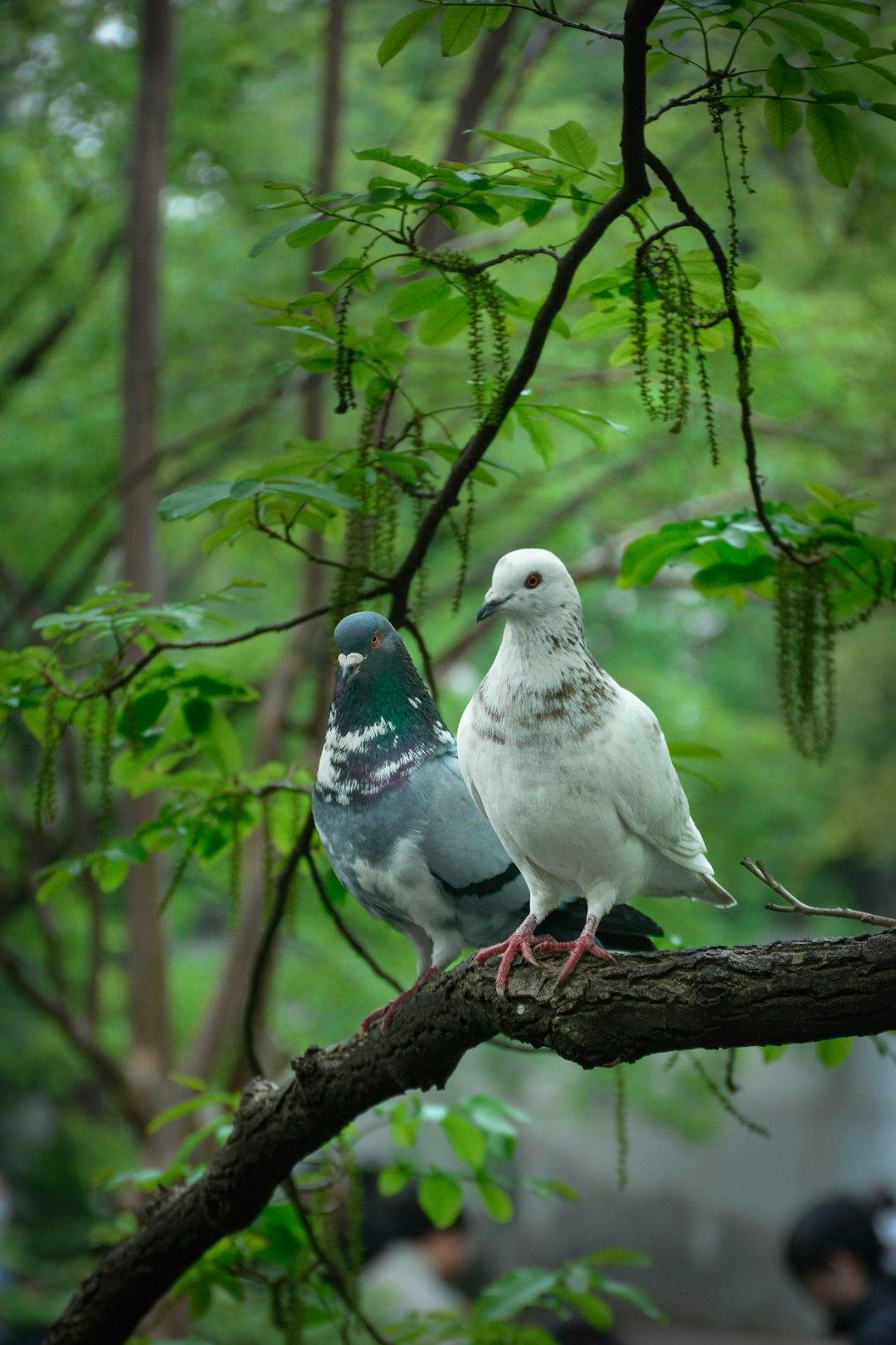 Unity Within Living Things 🌬️
